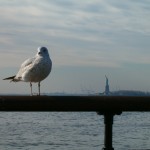 Bird Aside Lady Liberty