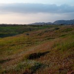 Grassy Hills