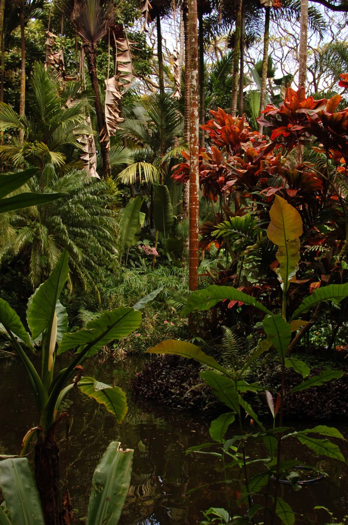 Flora