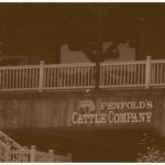 Penfold's Cattle Company